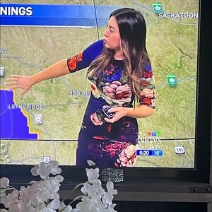 Floral Midi Dress with Bold Garden Print